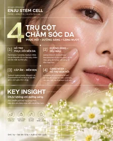 Infographic ENJU STEM CELL · 5 ml/lọ: 4 trụ cột chăm sóc da — bản không có chai và hộp sản phẩm
